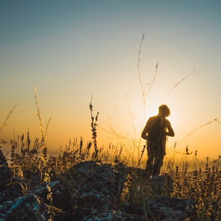 Campo con espigas en primer plano. En segundo plano y a contra luz, un hombre está de pie frente al atardecer