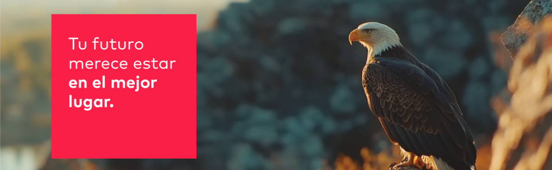 LVAM y sus cuatro distinciones en los Premios Salmón APV 2025