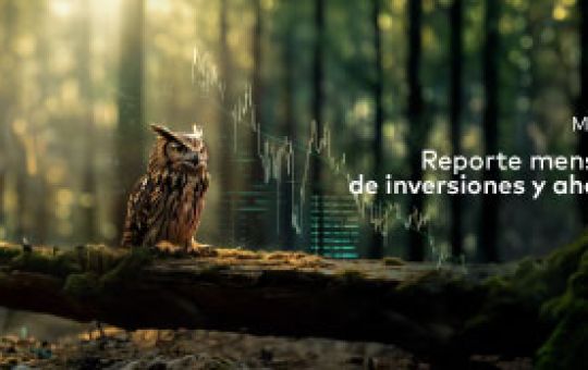 vision mayo 2026